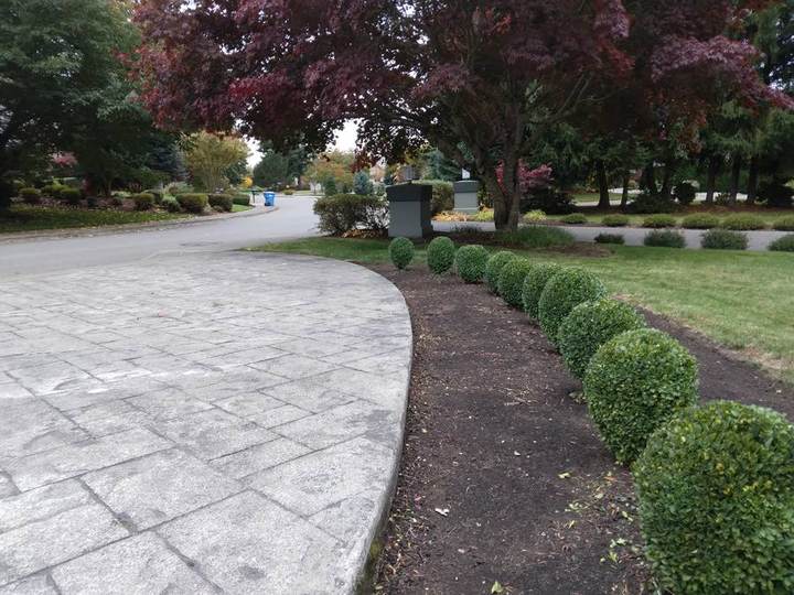 Hedging & Trimming