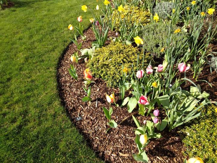 Mulch Installation