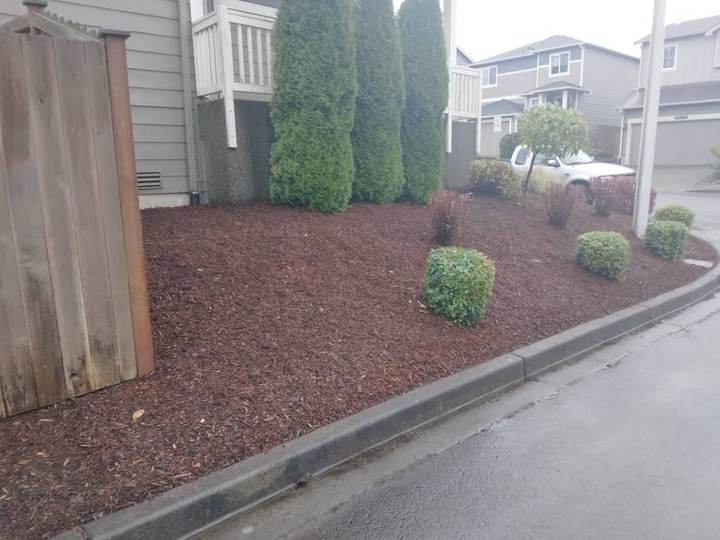 Mulch Installation